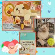 ヒメ日記 2024/12/13 16:31 投稿 OL≫鈴木あんな 不倫商事多治見営業所