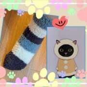 ヒメ日記 2025/01/13 18:42 投稿 OL≫鈴木あんな 不倫商事多治見営業所