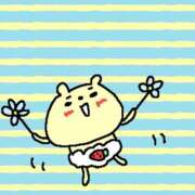 ヒメ日記 2025/03/19 00:14 投稿 OL≫鈴木あんな 不倫商事多治見営業所