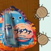 ヒメ日記 2025/06/22 18:56 投稿 OL≫鈴木あんな 不倫商事多治見営業所