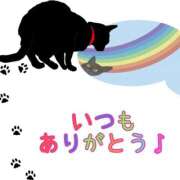 ヒメ日記 2025/07/16 14:38 投稿 OL≫鈴木あんな 不倫商事 多治見本店