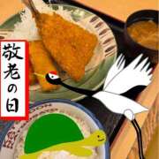 ヒメ日記 2025/09/15 23:43 投稿 OL≫鈴木あんな 不倫商事多治見営業所