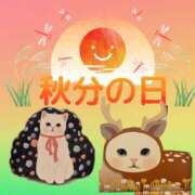 ヒメ日記 2025/09/24 08:47 投稿 OL≫鈴木あんな 不倫商事多治見営業所