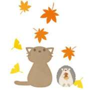 ヒメ日記 2025/10/13 14:12 投稿 OL≫鈴木あんな 不倫商事多治見営業所