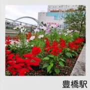 ヒメ日記 2025/11/04 21:41 投稿 OL≫鈴木あんな 不倫商事多治見営業所