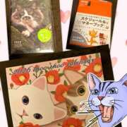 ヒメ日記 2025/11/13 23:54 投稿 OL≫鈴木あんな 不倫商事多治見営業所