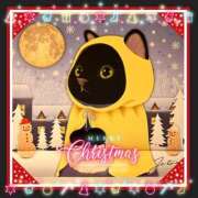 ヒメ日記 2025/12/25 00:06 投稿 OL≫鈴木あんな 不倫商事多治見営業所