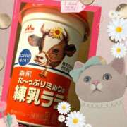 ヒメ日記 2026/01/18 23:44 投稿 OL≫鈴木あんな 不倫商事多治見営業所