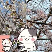 ヒメ日記 2026/03/28 23:52 投稿 OL≫鈴木あんな 不倫商事 多治見本店