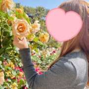 ヒメ日記 2025/05/18 11:15 投稿 奥≫彩路ちとせ 不倫商事多治見営業所