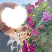 ヒメ日記 2025/06/04 11:36 投稿 奥≫彩路ちとせ 不倫商事多治見営業所