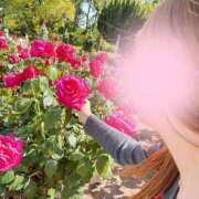 ヒメ日記 2025/06/14 18:15 投稿 奥≫彩路ちとせ 不倫商事多治見営業所