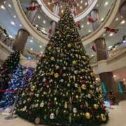 ヒメ日記 2025/12/25 17:02 投稿 奥≫彩路ちとせ 不倫商事多治見営業所