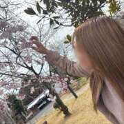 ヒメ日記 2026/04/03 20:38 投稿 奥≫彩路ちとせ 不倫商事 多治見本店