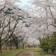 ヒメ日記 2025/04/01 16:14 投稿 奥≫南風りお 不倫商事多治見営業所