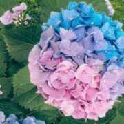 ヒメ日記 2025/07/11 16:48 投稿 奥≫南風りお 不倫商事多治見営業所