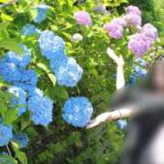 ヒメ日記 2025/07/13 08:01 投稿 奥≫南風りお 不倫商事多治見営業所