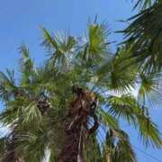 ヒメ日記 2025/08/27 08:01 投稿 奥≫南風りお 不倫商事多治見営業所