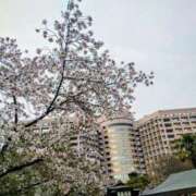 ヒメ日記 2026/04/07 07:19 投稿 奥≫南風りお 不倫商事 多治見本店