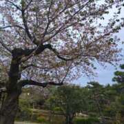 ヒメ日記 2026/04/08 01:00 投稿 奥≫南風りお 不倫商事 多治見本店