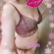 ヒメ日記 2024/12/15 07:04 投稿 奥≫風色うたの 不倫商事多治見営業所