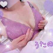 ヒメ日記 2024/12/15 09:21 投稿 奥≫風色うたの 不倫商事多治見営業所