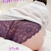 ヒメ日記 2024/12/24 06:22 投稿 奥≫風色うたの 不倫商事多治見営業所