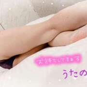 ヒメ日記 2024/12/30 09:21 投稿 奥≫風色うたの 不倫商事多治見営業所