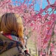 ヒメ日記 2025/04/08 16:38 投稿 OL≫菅野かすみ 不倫商事多治見営業所