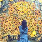 ヒメ日記 2025/08/25 07:01 投稿 OL≫菅野かすみ 不倫商事多治見営業所