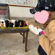 ヒメ日記 2025/11/13 10:00 投稿 OL≫菅野かすみ 不倫商事多治見営業所