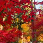 OL≫菅野かすみ 紅葉🍁 不倫商事多治見営業所