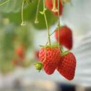 ヒメ日記 2026/02/02 10:01 投稿 OL≫菅野かすみ 不倫商事 多治見本店