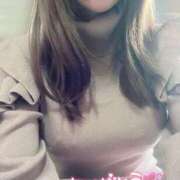 ヒメ日記 2025/04/08 12:01 投稿 OL≫七星こずえ 不倫商事多治見営業所