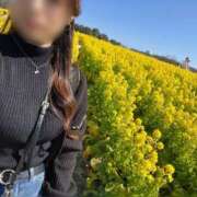 ヒメ日記 2025/03/07 20:53 投稿 OL≫堂島たお 不倫商事多治見営業所