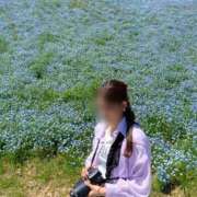 ヒメ日記 2025/05/08 15:15 投稿 OL≫堂島たお 不倫商事多治見営業所