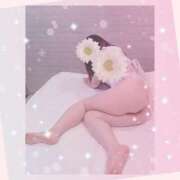 ヒメ日記 2025/11/10 10:05 投稿 奥≫桜木とも 不倫商事多治見営業所