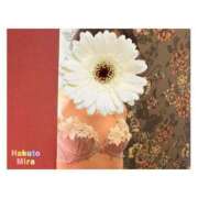 ヒメ日記 2025/06/28 13:30 投稿 OL≫珀斗みら 不倫商事多治見営業所