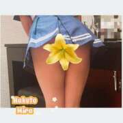 ヒメ日記 2025/10/27 12:04 投稿 OL≫珀斗みら 不倫商事多治見営業所