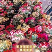 ヒメ日記 2025/12/30 12:02 投稿 OL≫珀斗みら 不倫商事多治見営業所