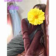 ヒメ日記 2026/03/27 11:07 投稿 OL≫珀斗みら 不倫商事 多治見本店