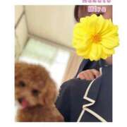 ヒメ日記 2026/03/31 11:00 投稿 OL≫珀斗みら 不倫商事 多治見本店