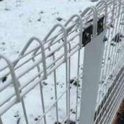 ヒメ日記 2025/03/05 14:05 投稿 なるみ 夢の国デリランド