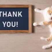 ヒメ日記 2025/05/17 19:56 投稿 ちあき 太田人妻城