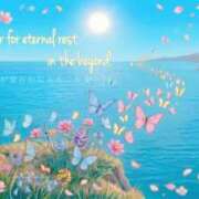 ヒメ日記 2026/03/11 14:49 投稿 美月～MIZUKI～ BBW大宮店