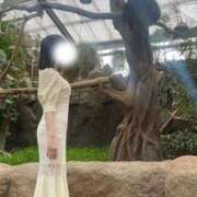 ヒメ日記 2026/03/14 19:03 投稿 りんか CLASSY（クラッシー）.神戸