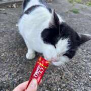 ヒメ日記 2026/04/12 22:05 投稿 りんか CLASSY（クラッシー）.神戸