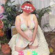 ヒメ日記 2024/12/28 17:30 投稿 きよみ 乳野家