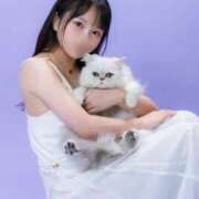 ヒメ日記 2025/06/23 16:51 投稿 かおり Versailles