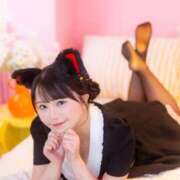 かおり なんだかなぁ🐱 Versailles